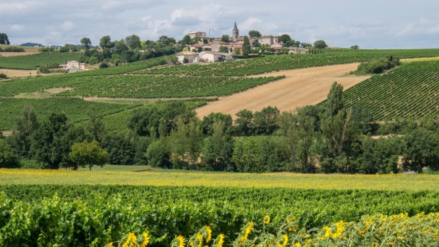 découvrir Gaillac