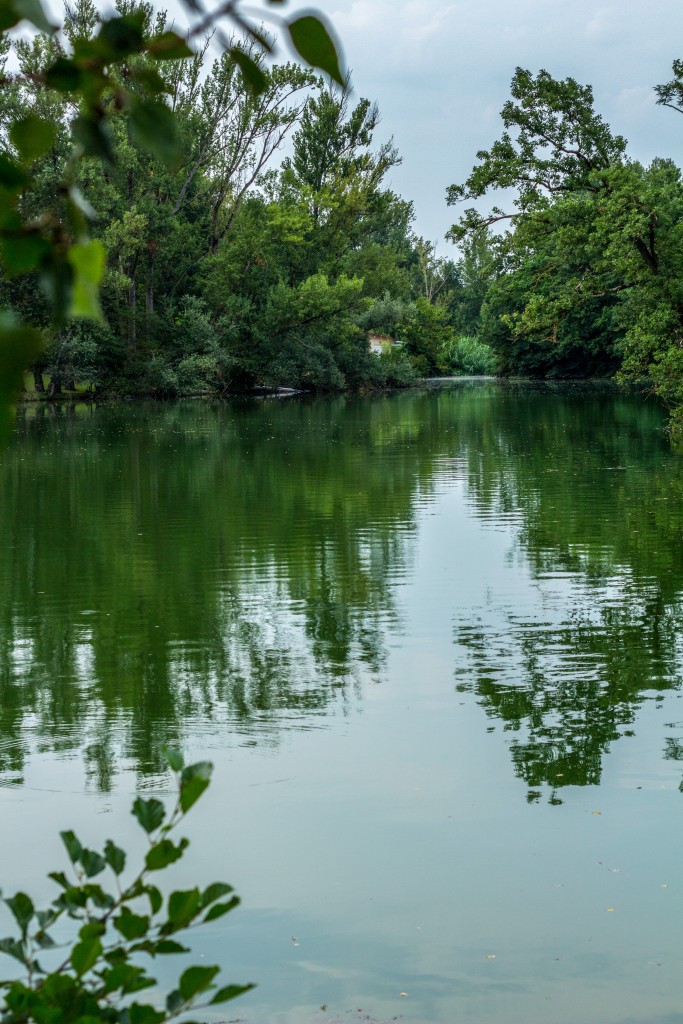 guinguette tarn