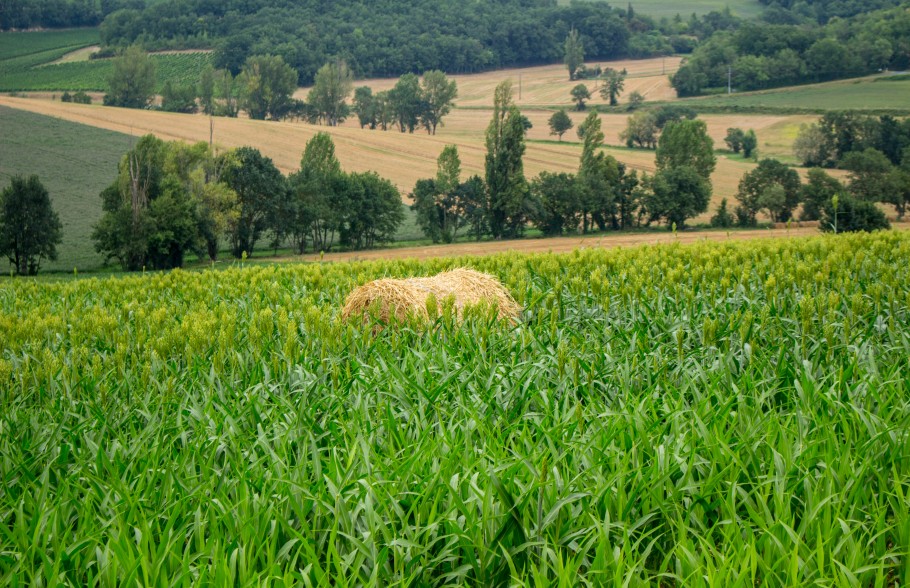 visiter le tarn