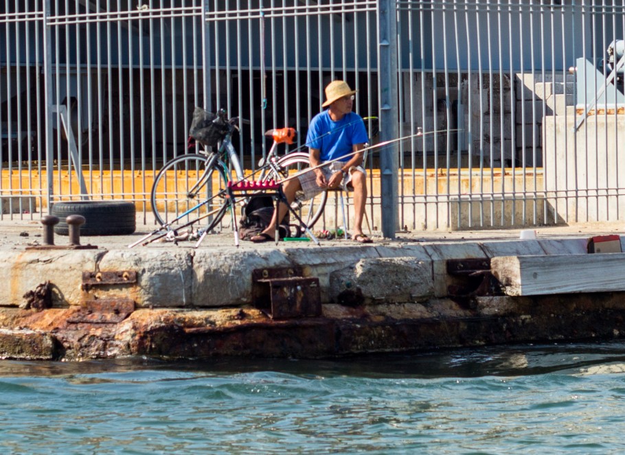 pêche daurade sète