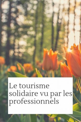 Le tourisme solidaire vu par les Professionnels