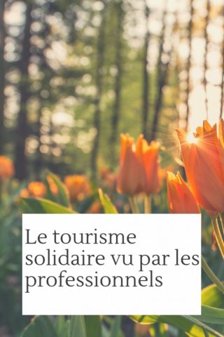 Le tourisme solidaire vu par les Professionnels