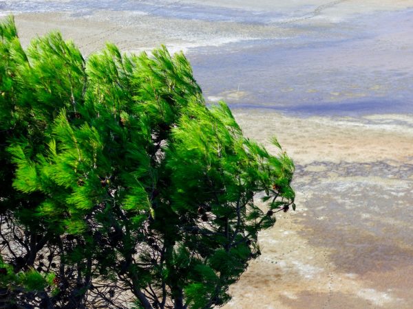 L’Aude côté mer : les incontournables