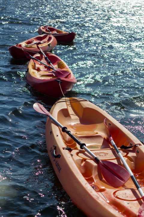 kayak port mahon