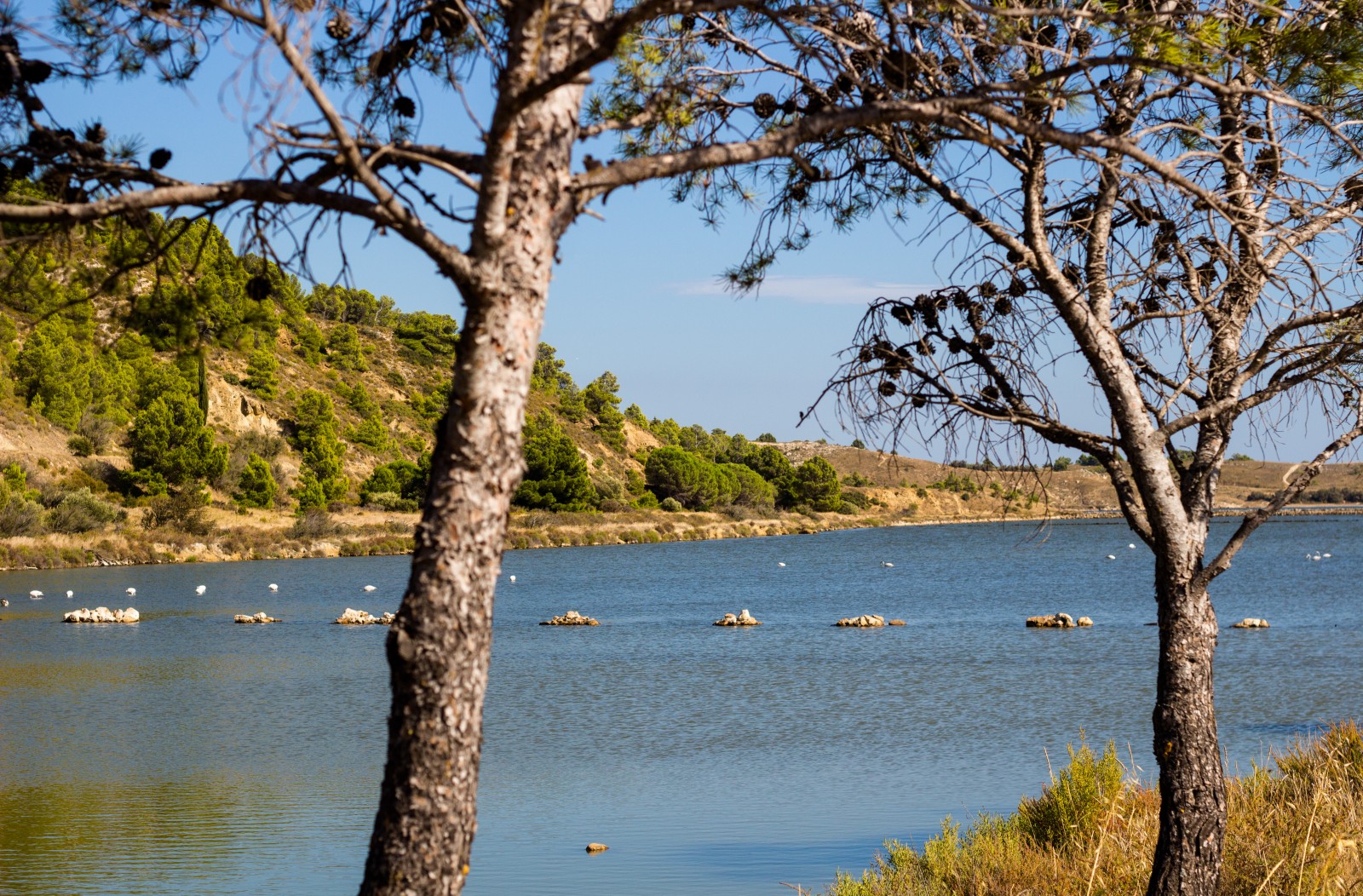 etang du doul aude