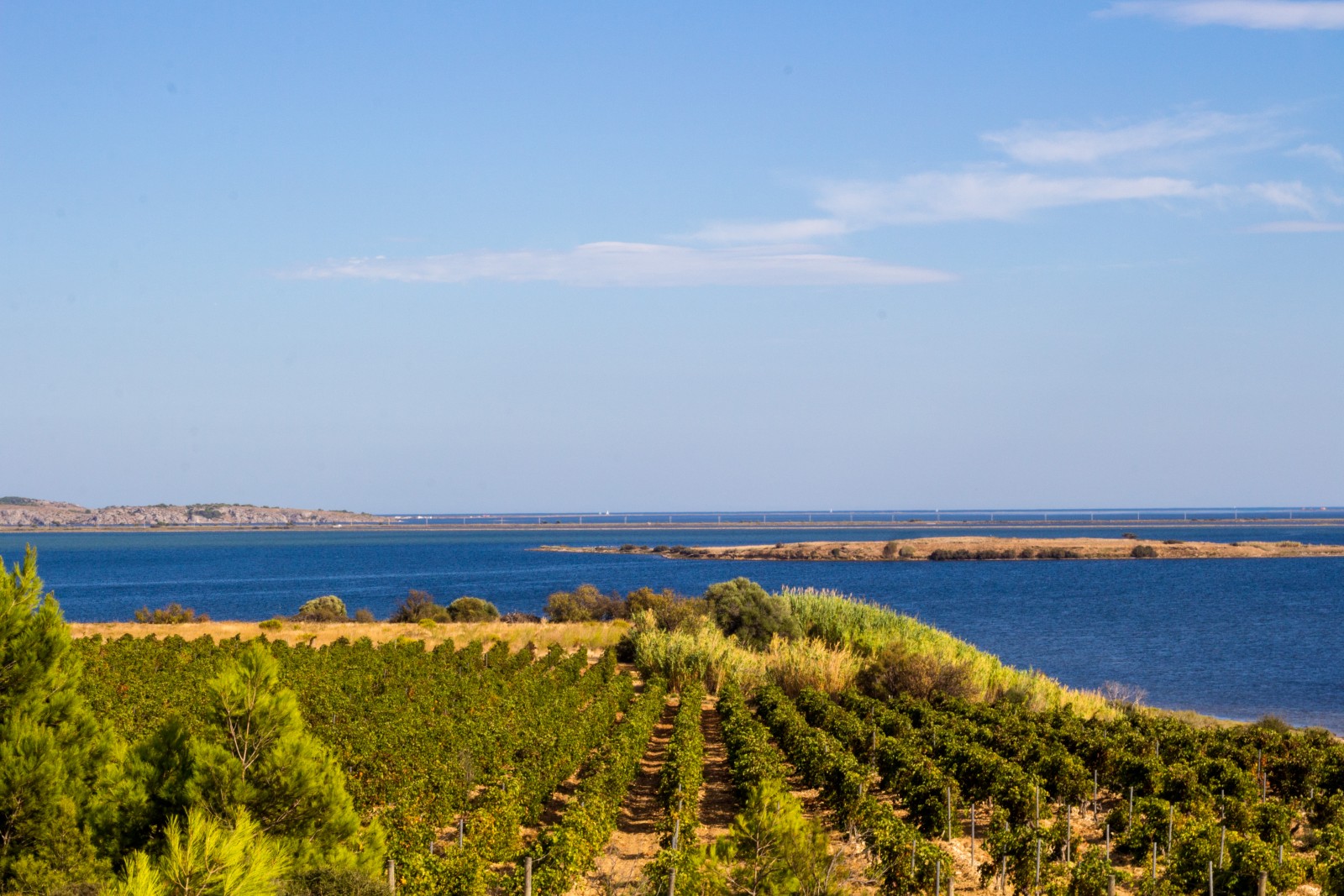 etang du doul aude