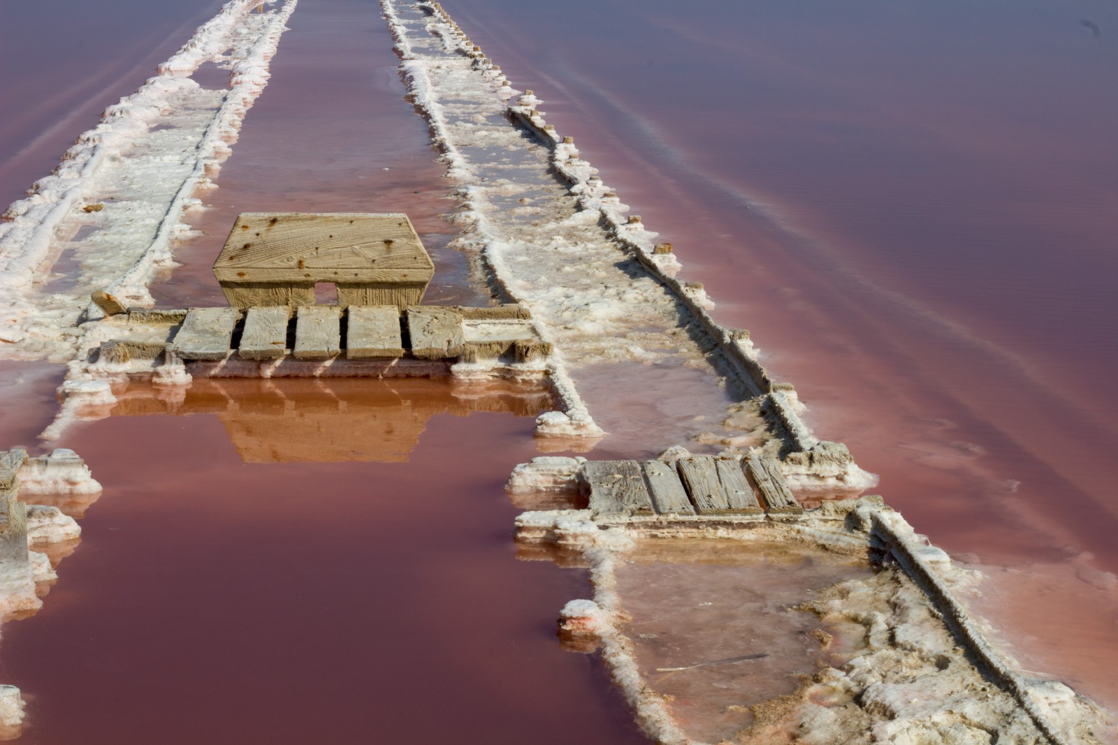 Visiter le salin de Gruissan