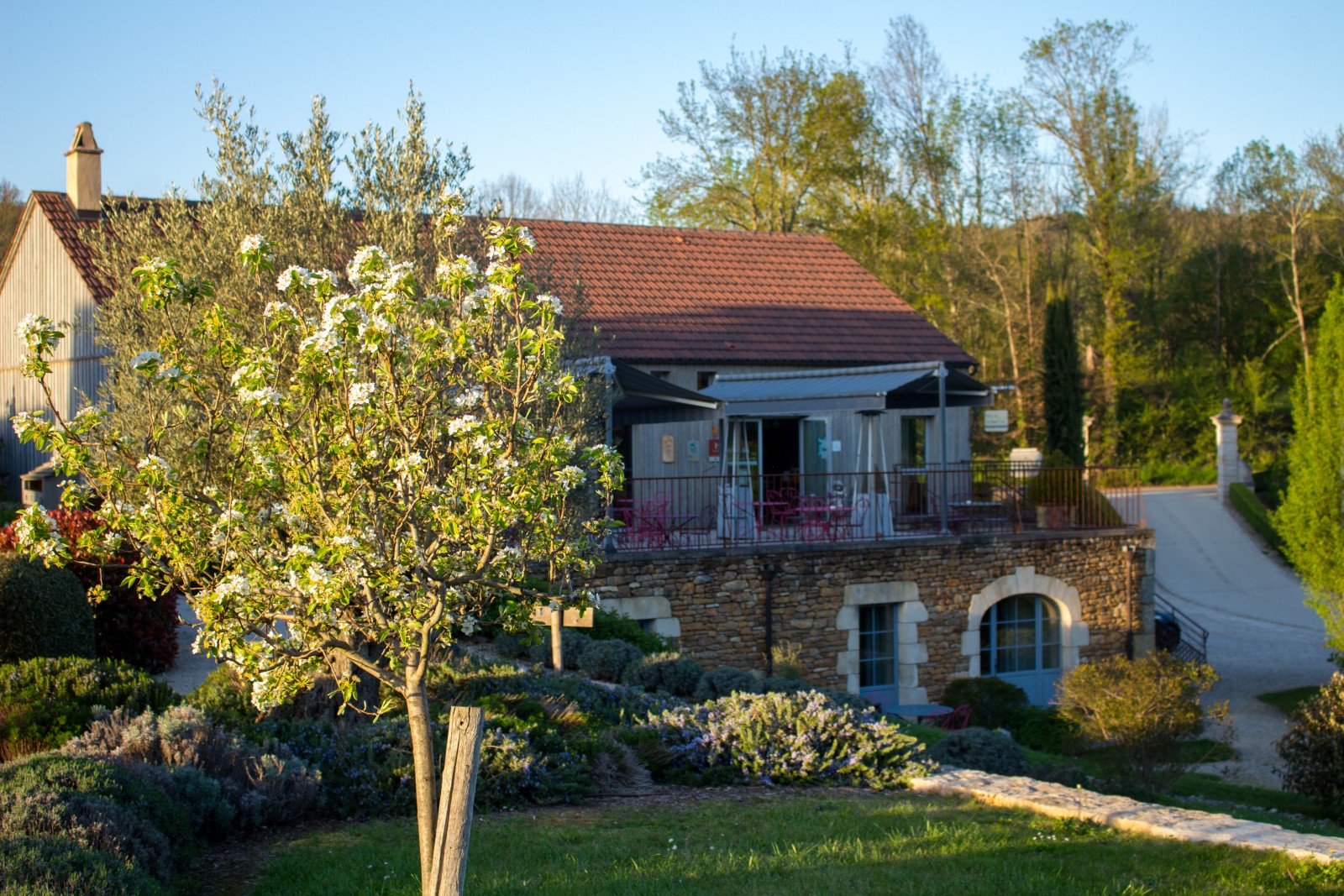 hôtel le saint cirq