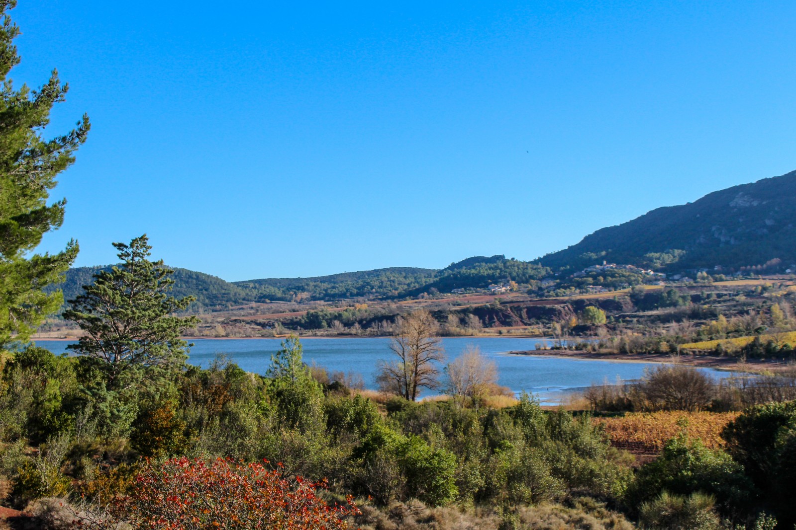 insolite lac salagou