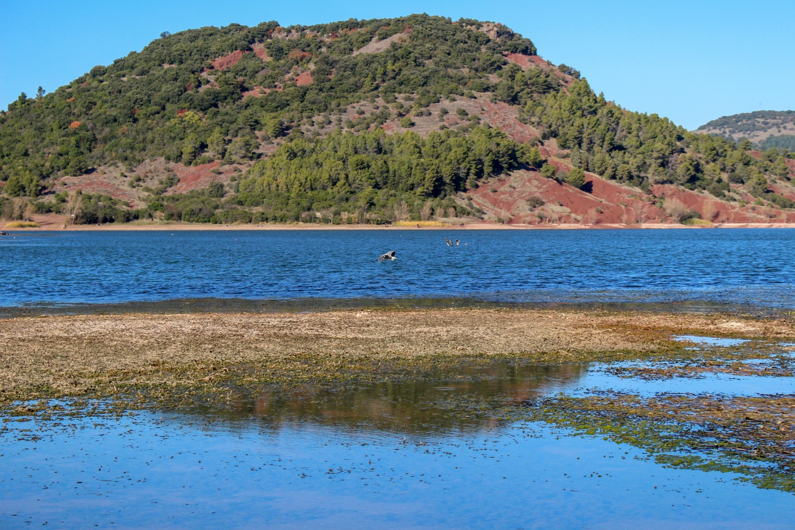 lac salagou montpellier