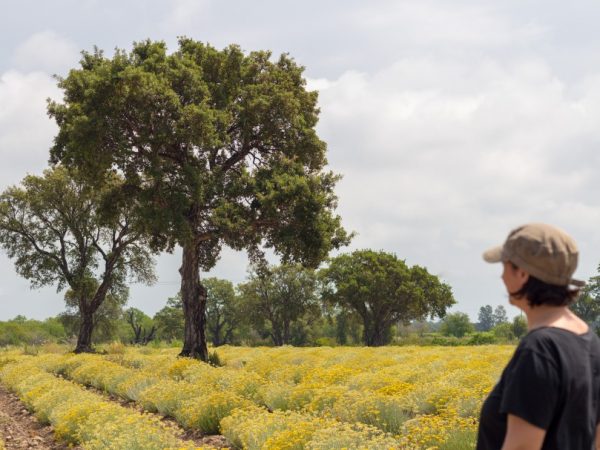 Blog voyage : continuer ou pas ?