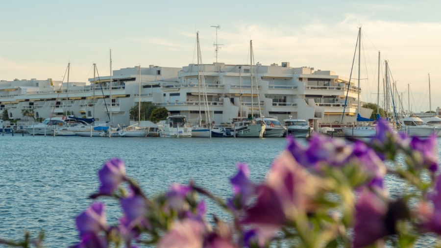 hotel grau du roi