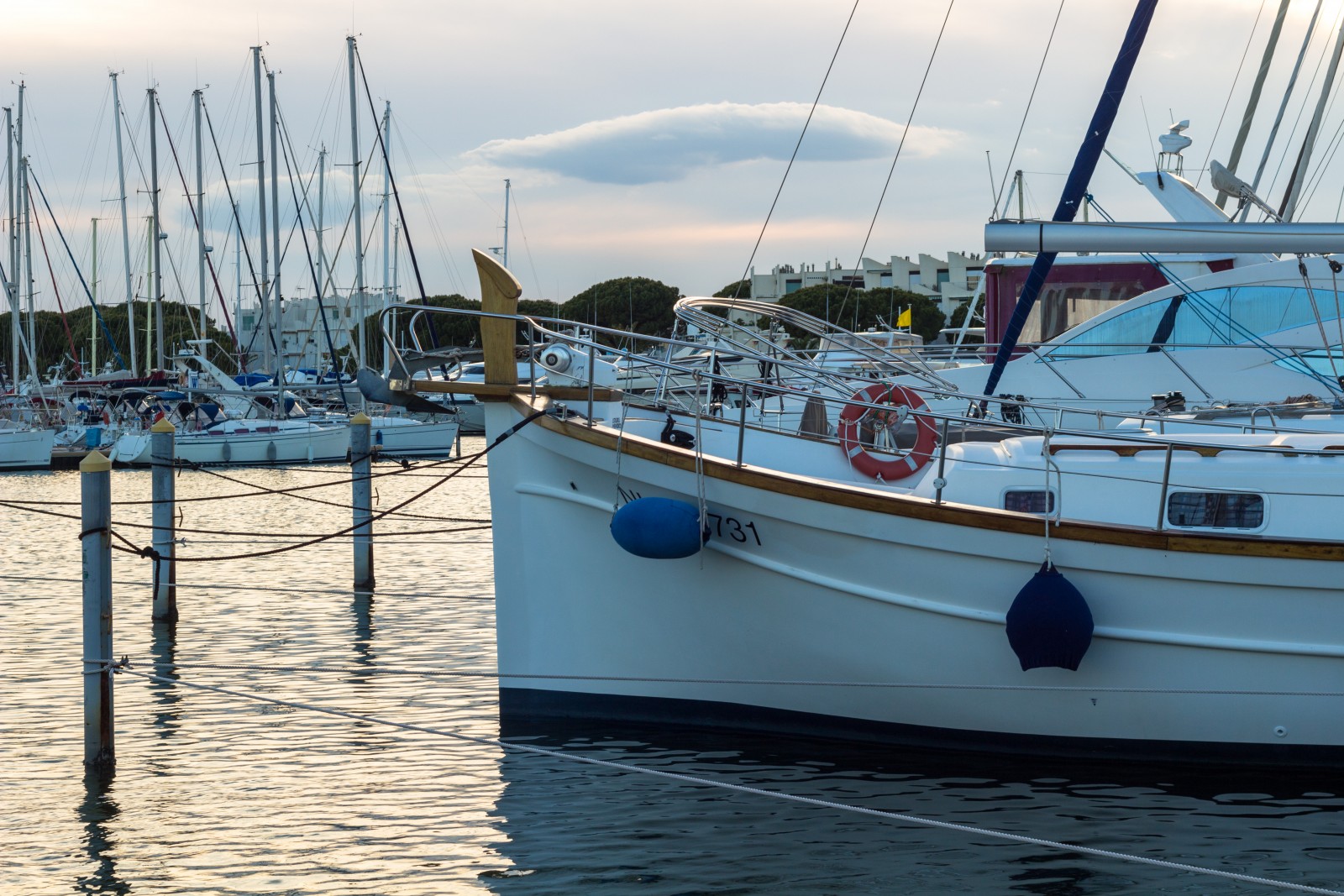 port camargue bateaux