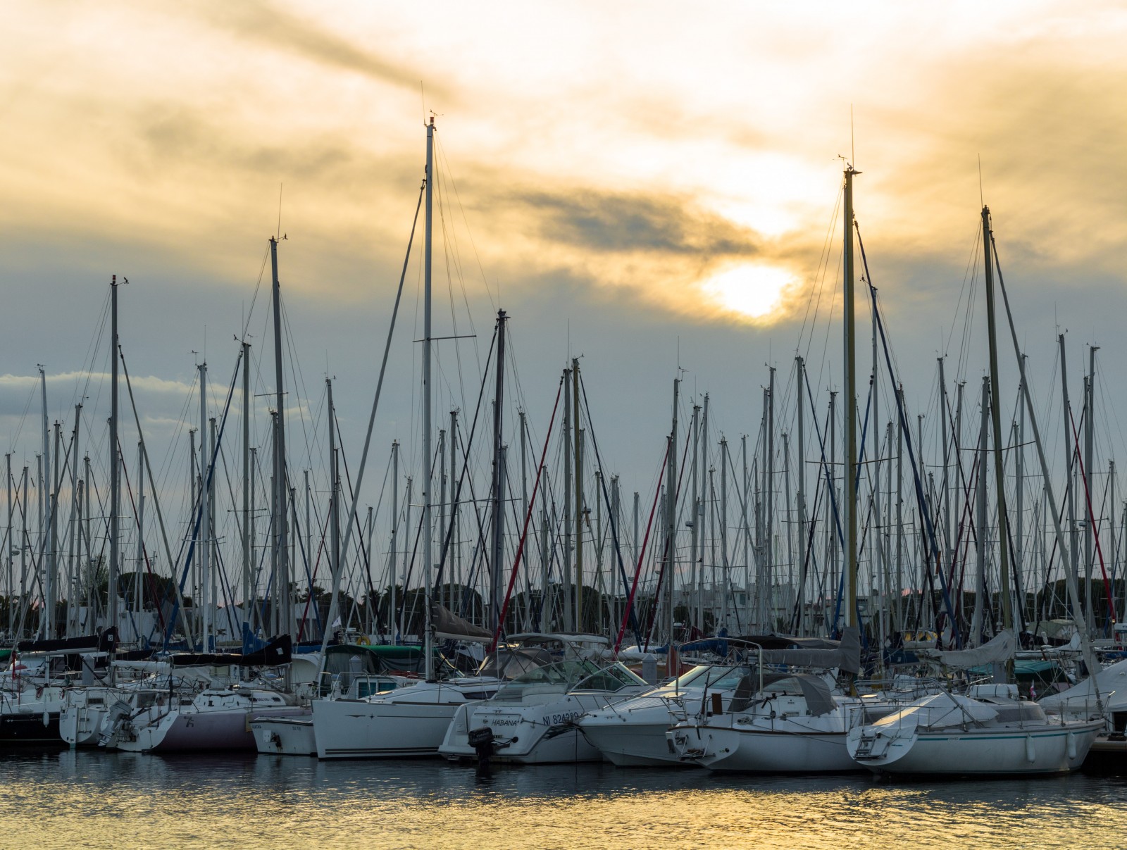 port camargue marina