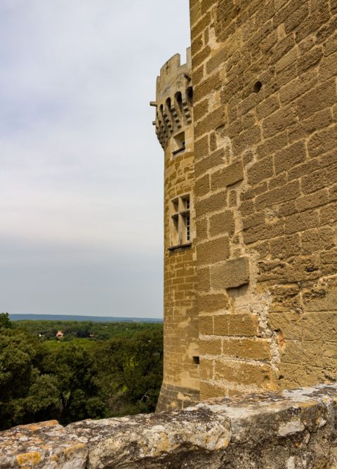 chateau Suze la Rousse