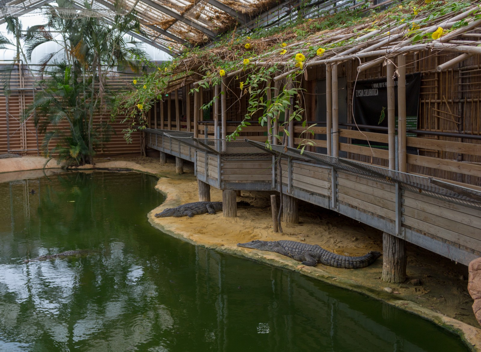 ferme aux crocodiles tarifs