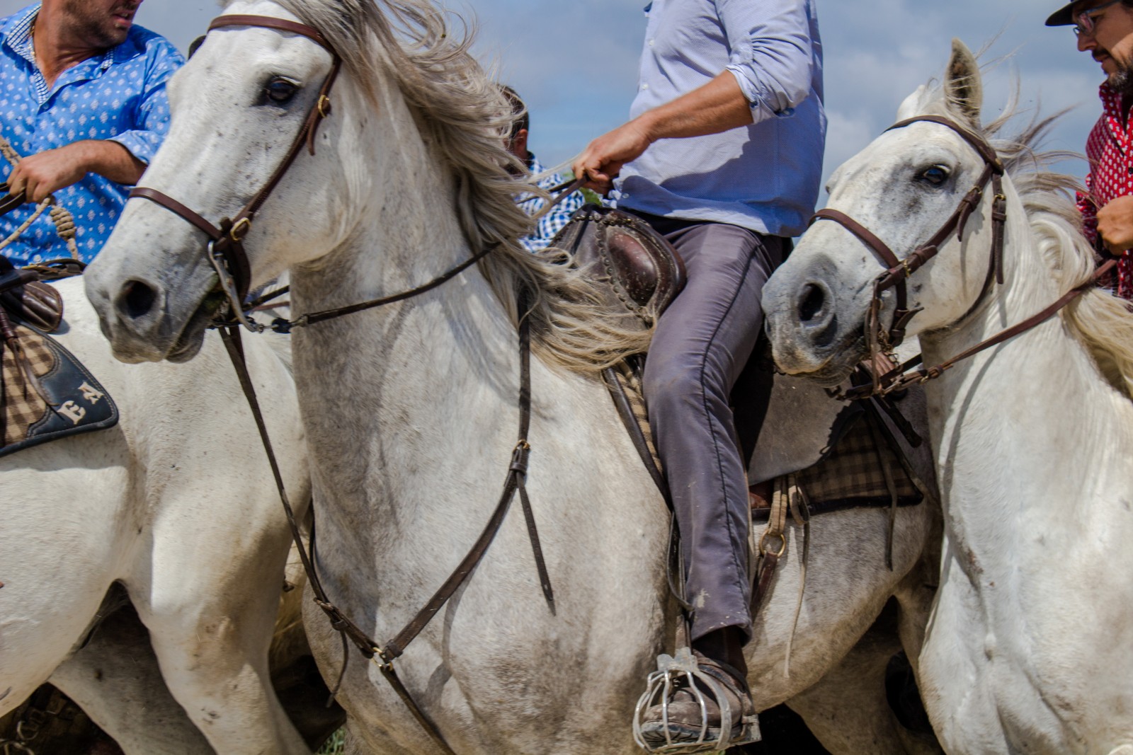 Camargue @lafilledelencre