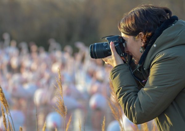 Témoignages croisés de photographes : à quoi sert la photographie ?