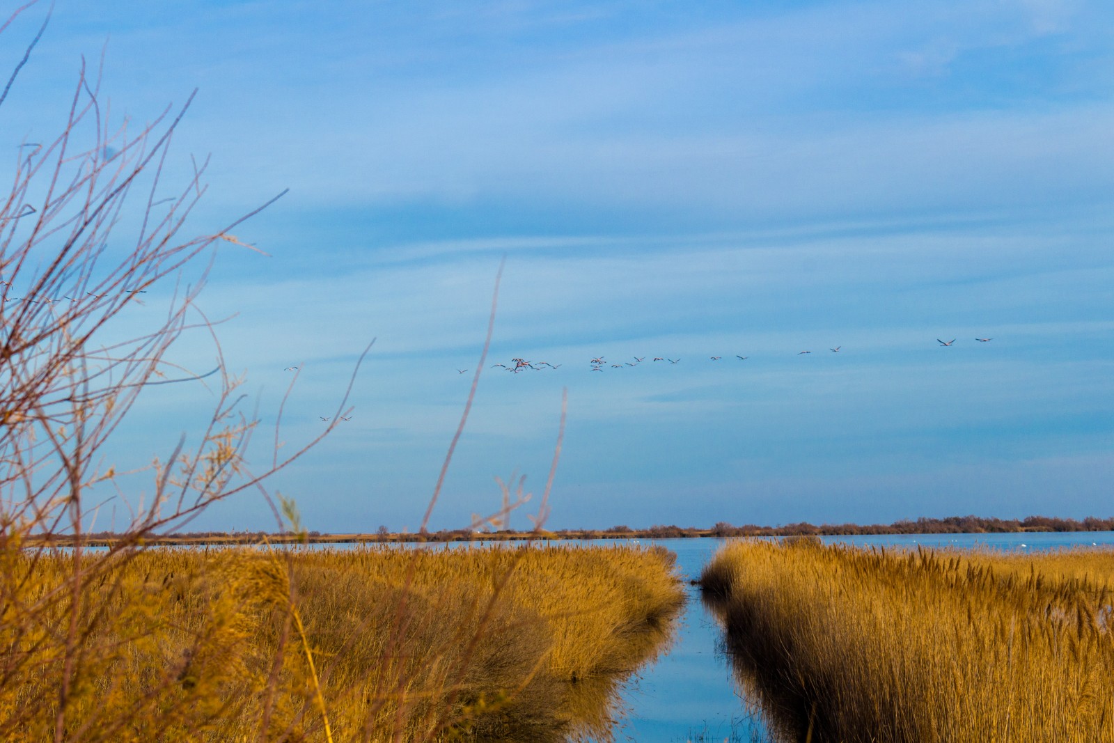 camargue paysage