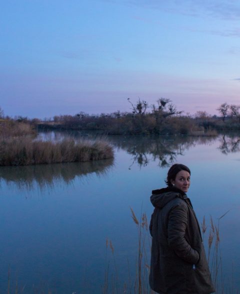 camargue paysage