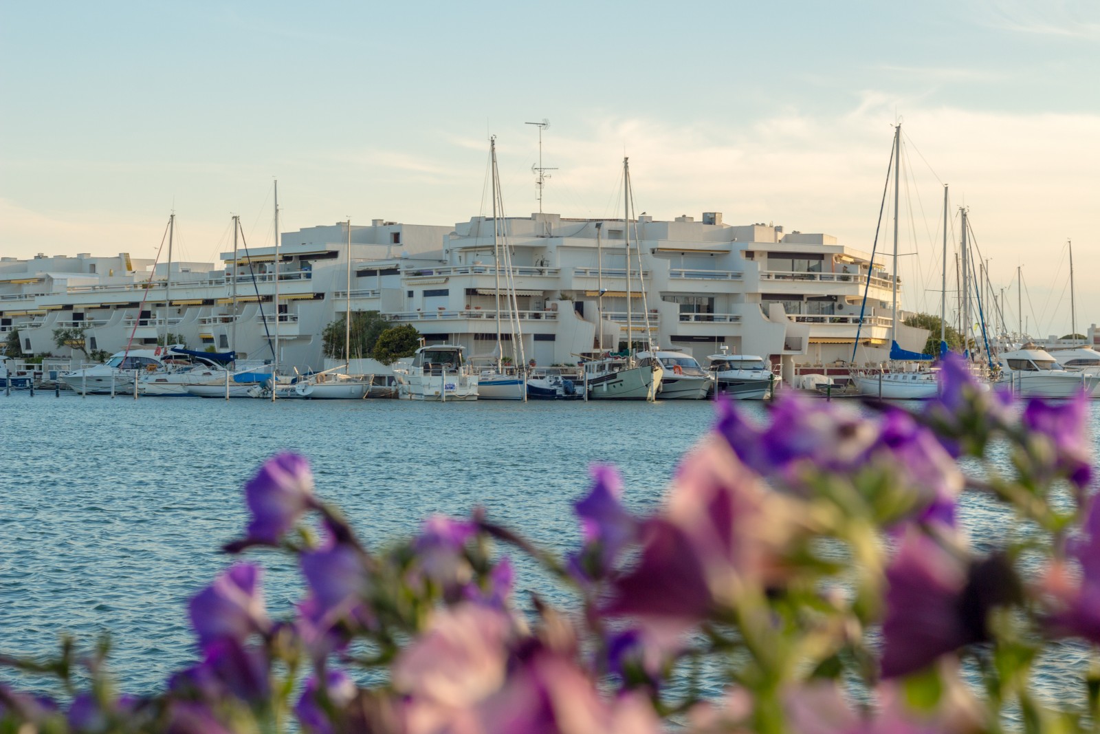 port camargue