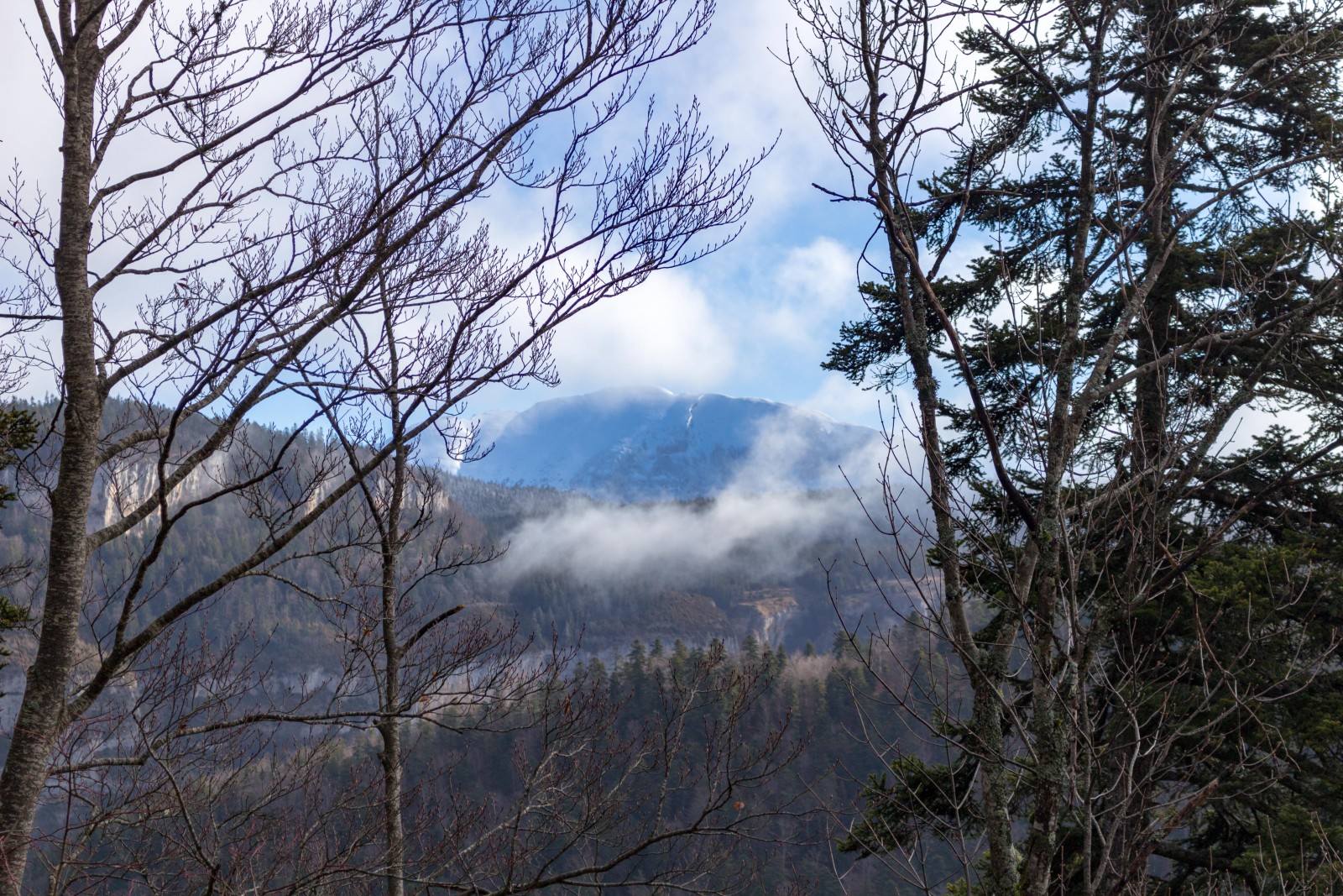 Le Vercors en famille : les incontournables en toute saison !