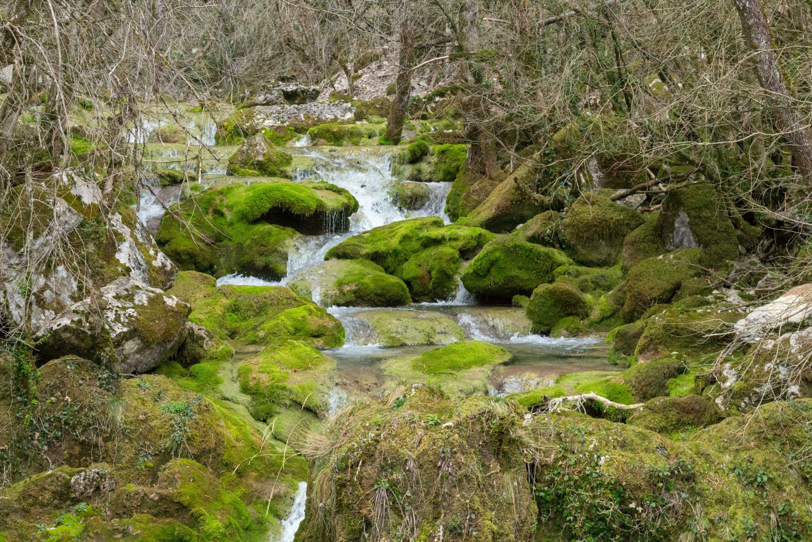 rivière vercors