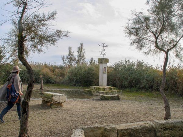 hôtel cacharel en Camargue