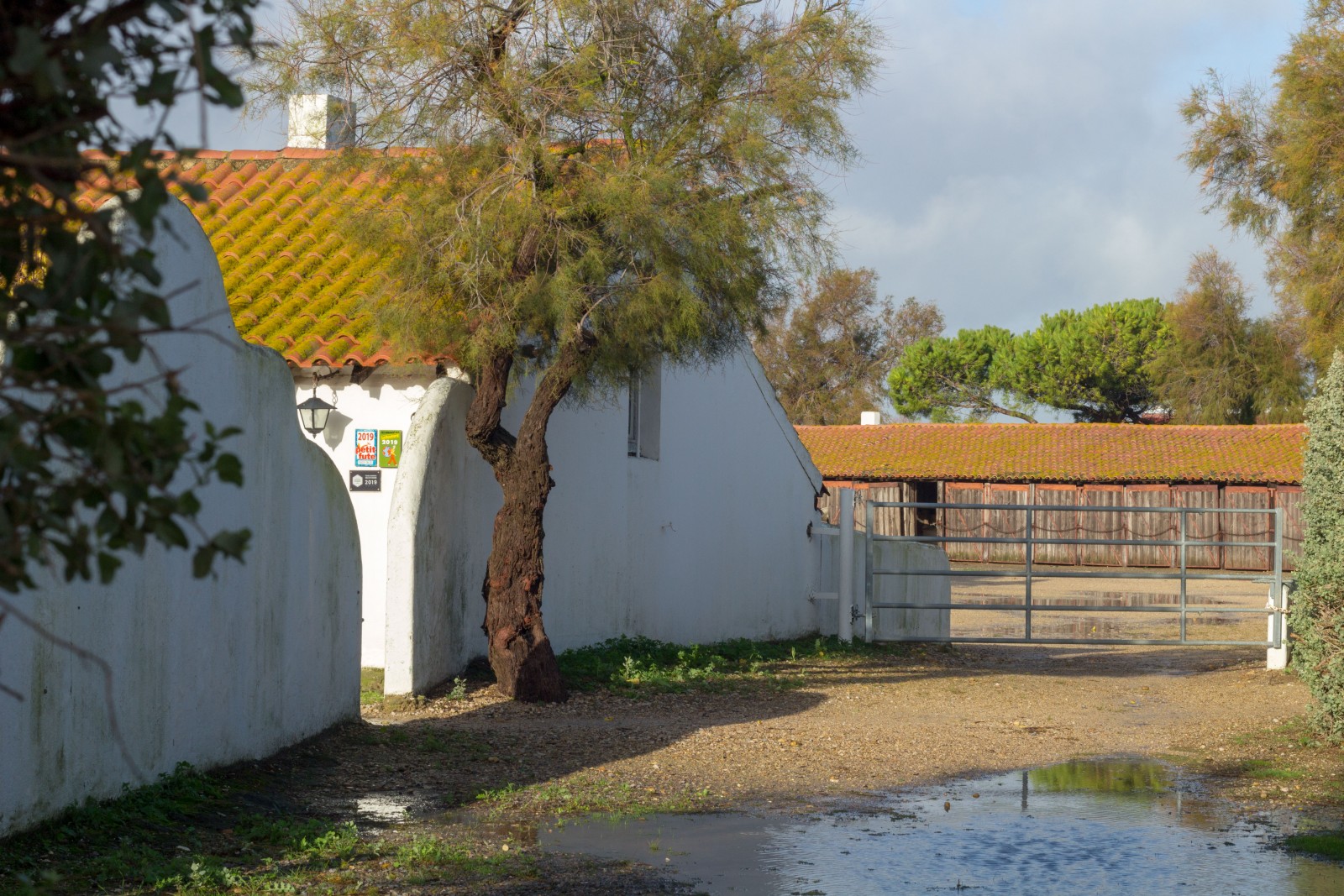 camargue quel hotel choisir