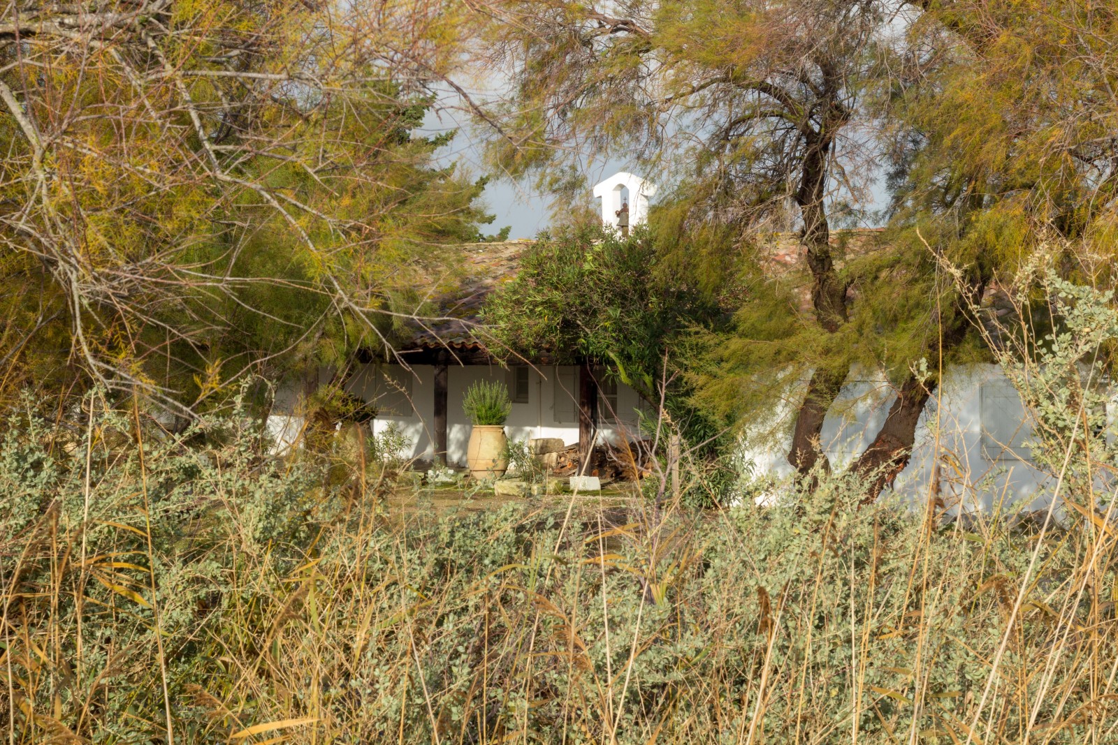 choisir hotel camargue