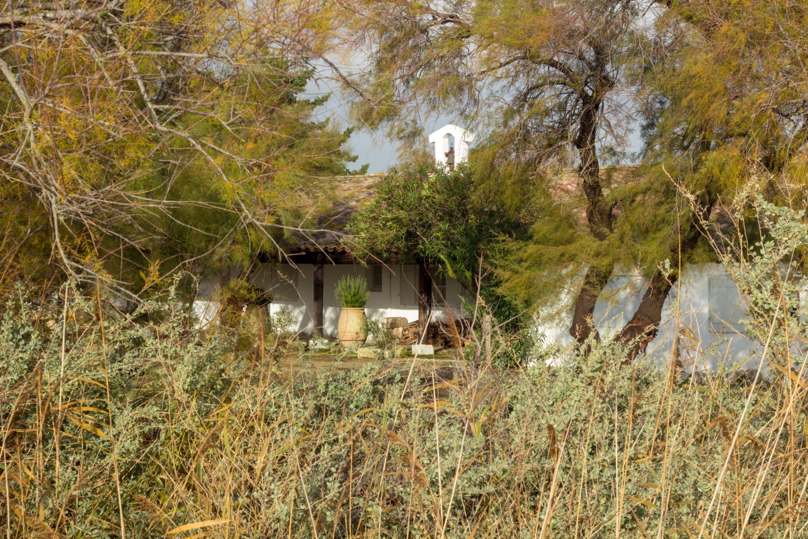 choisir hotel camargue