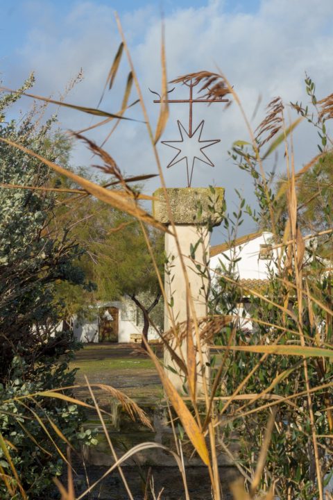 quel hotel choisir camargue