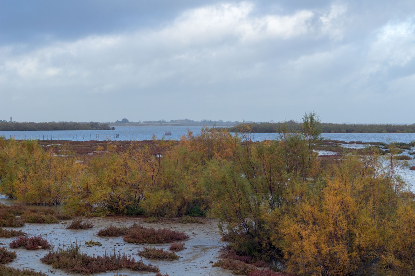 visiter camargue