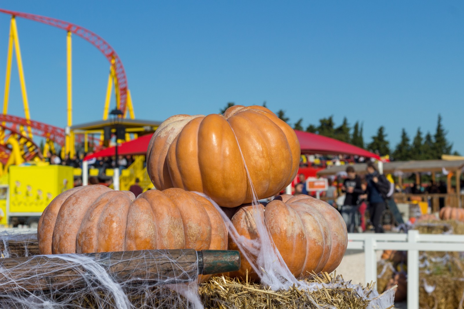 parc spirou tarif