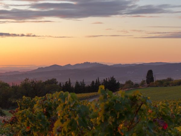 Vaucluse, aventure sensorielle