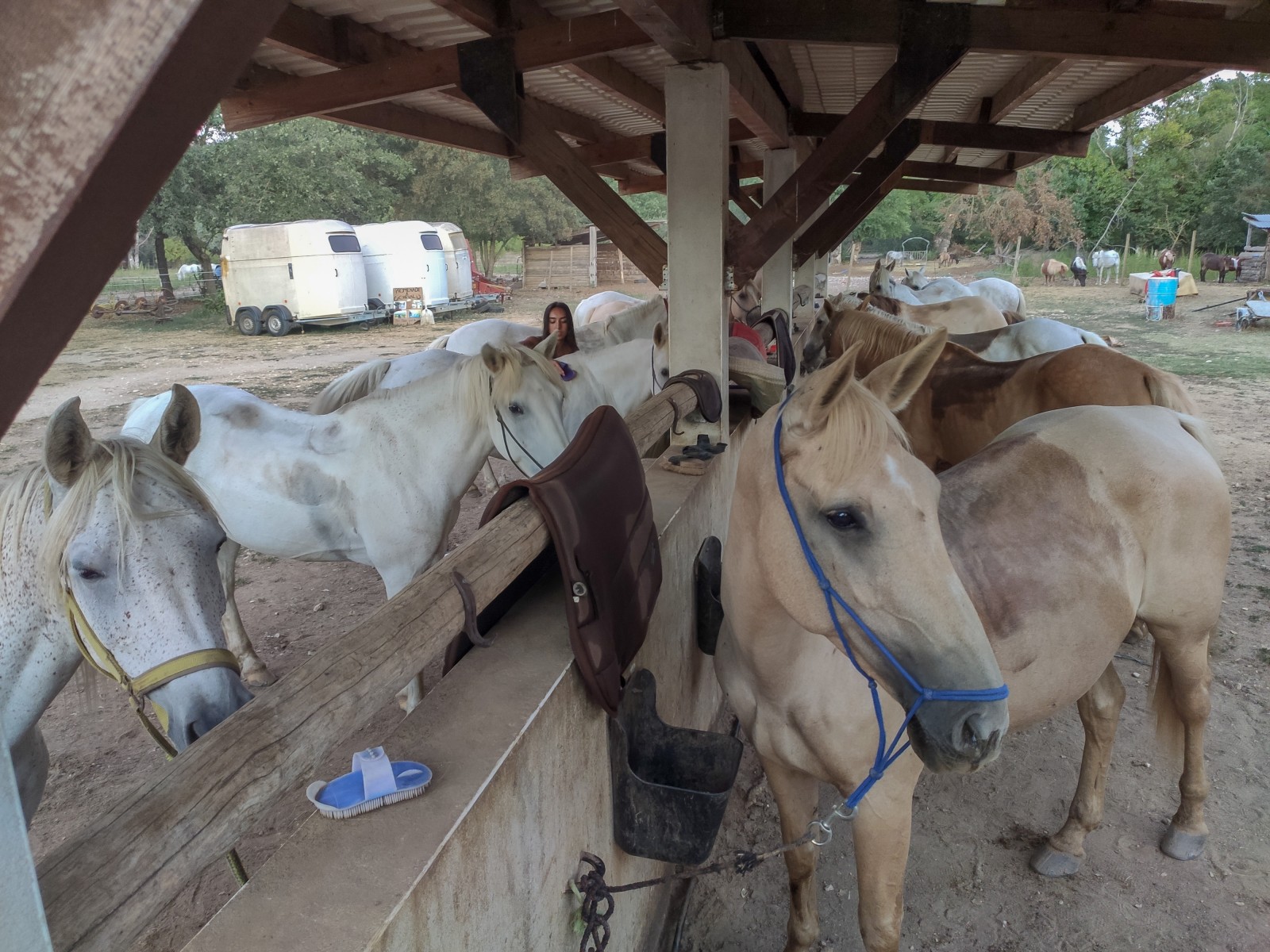 balade à cheval provence occitane