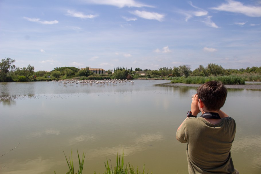 quand visiter le parc ornithologique du Pont de Gau ?