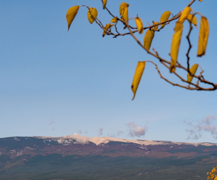 Ventoux-Provence