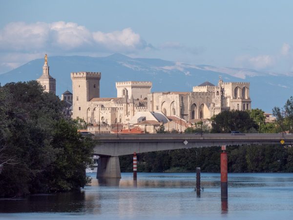 Embarquez pour une croisière entre Avignon et Arles