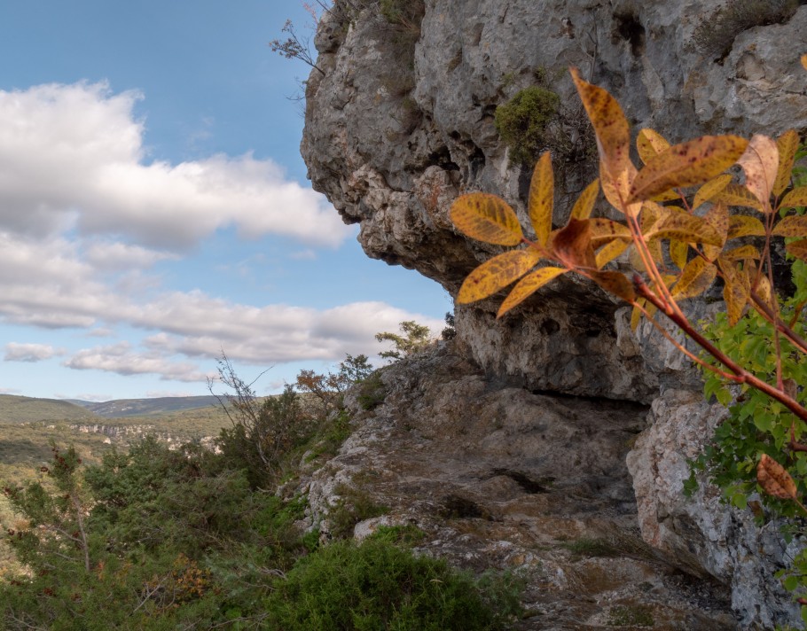 Méthamis, gorge des la Nesque