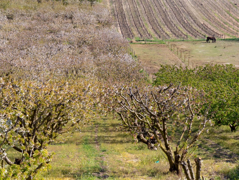 villages provence