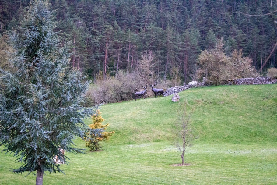 domaine de vialatte lozère