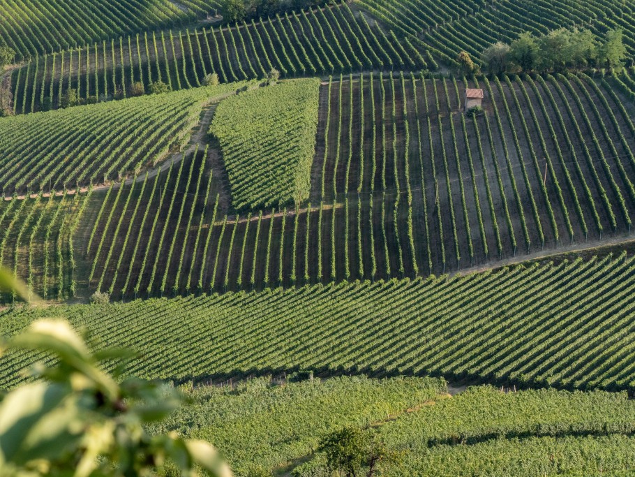 Italie – Piémont : une journée pour découvrir les Langhe