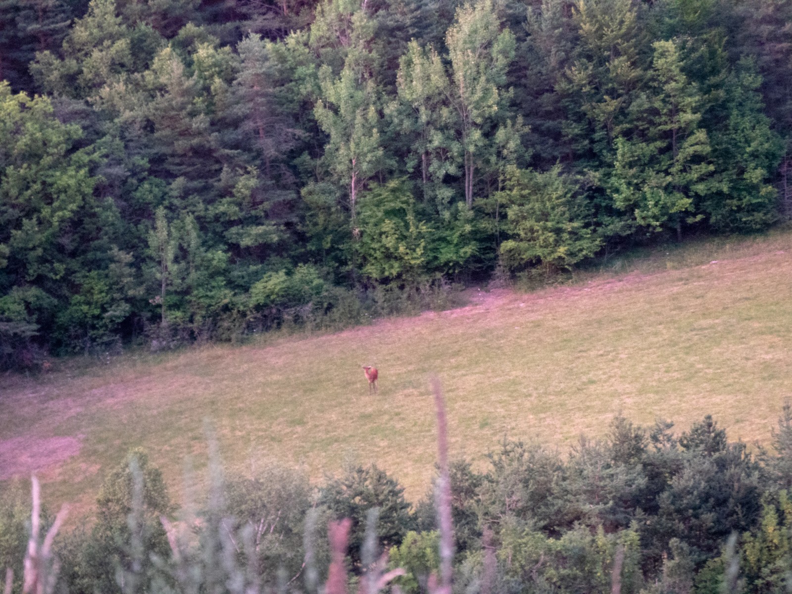 alpes de haute provence vacances