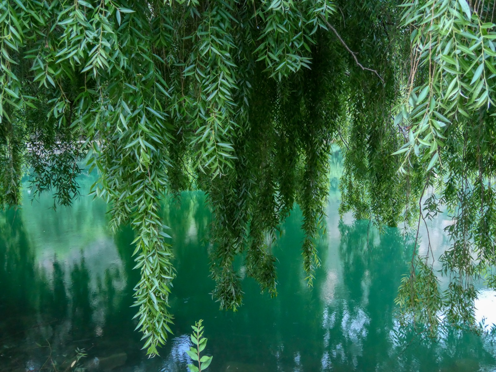 baignade lac lauzet ubaye